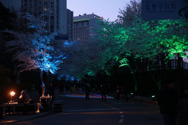 '벚꽃이 빛나는 밤에 '축제 LED조명