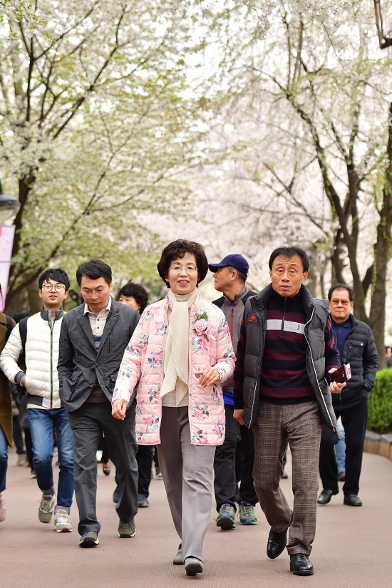 박춘희 구청장이 관계자들과 벚꽃축제를 현장방문 했다.