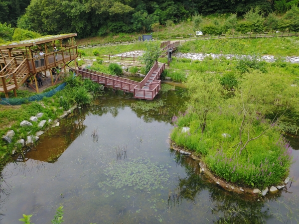 자연환경대상 최우수상을 수상한 서초구 ‘우면산 자연생태공원 두꺼비 서식처 복원사업’
