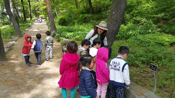 지난해 홍릉수목원에서 진행된 ‘아토피 힐링 숲체험 교실’에서 어린이들이 숲 해설가의 설명을 들으며 자연을 체험하고 있다.