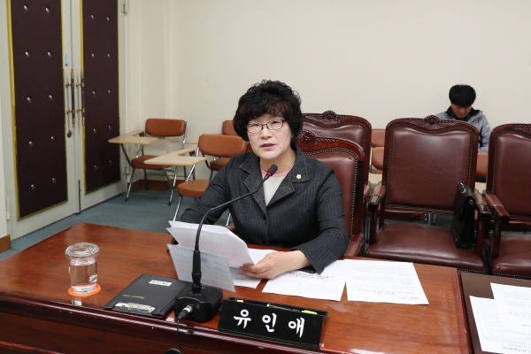 강북구의회 유인애 부의장이 지난달 26일 열린 소관상임위원회에서 의사 발언을 하고 있다.