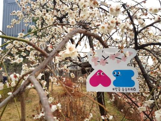 송파구(구청장 박성수)는 내달 11일까지 송파둘레길에서 '#벚꽃 송송파파찾기 SNS 이벤트'를 개최한다.