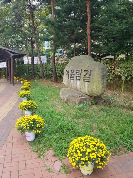 신월4동 주민자치회에서 어울림길에 만든 국화꽃길.(사진제공 양천구)