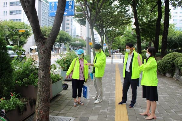 강남구 '주민생활 불편사항 개선단' 활동 모습
