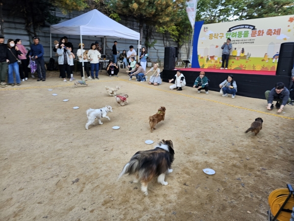 동작구시설관리공단은 지난달 29일 동작반려견공원에서 ‘2023 동작 반려동물 문화축제’를 개최했다.