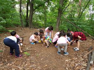 인천 미추홀구, 11월3일까지 유아숲체험 프로그램 운영