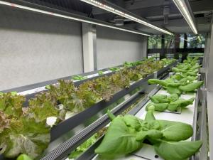 강동구, 도시농업 플랫폼 파믹스센터에서 ‘미래 농업’을 만나다