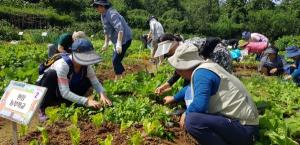 강동구, 실습위주 생태적 순환 농사를 배우다