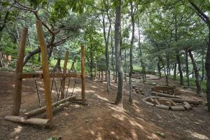 송파구, 천마근린공원서 ‘치유숲 프로그램’ 운영