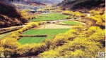 경북 의성 ‘산수유 꽃 마을’ 대상